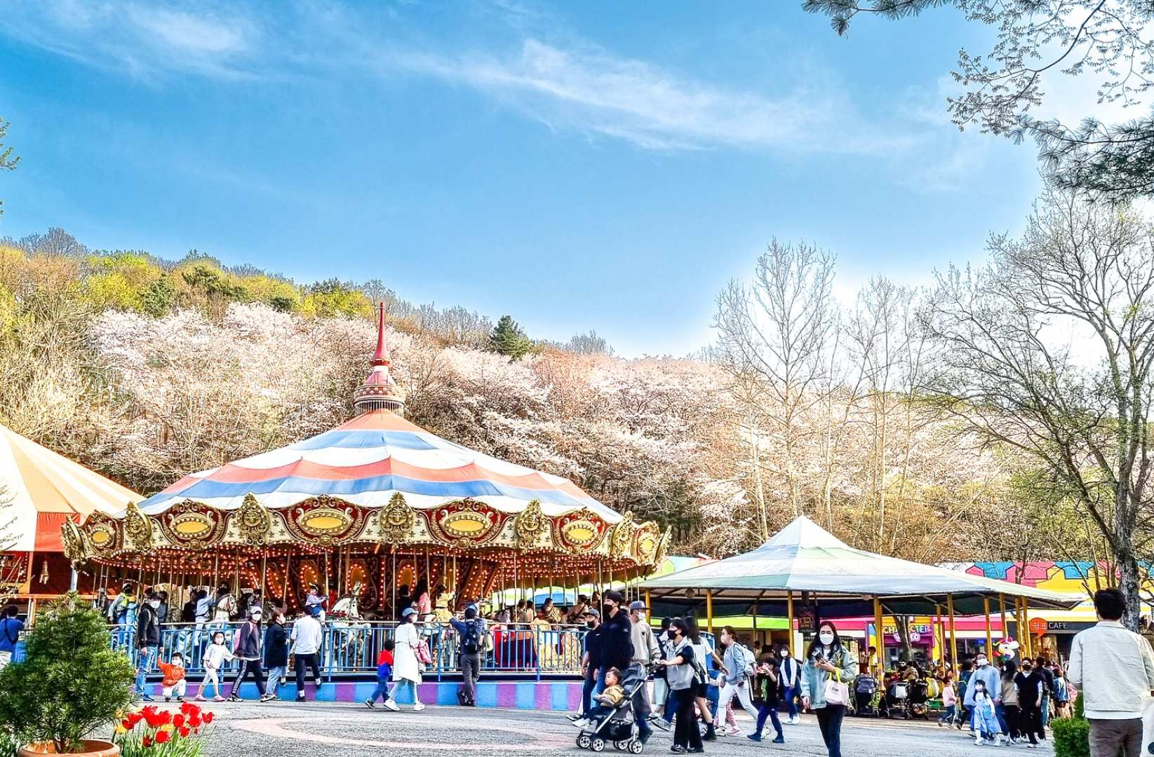 Seoul Land free pass | All day ticket - Photo 1 of 3